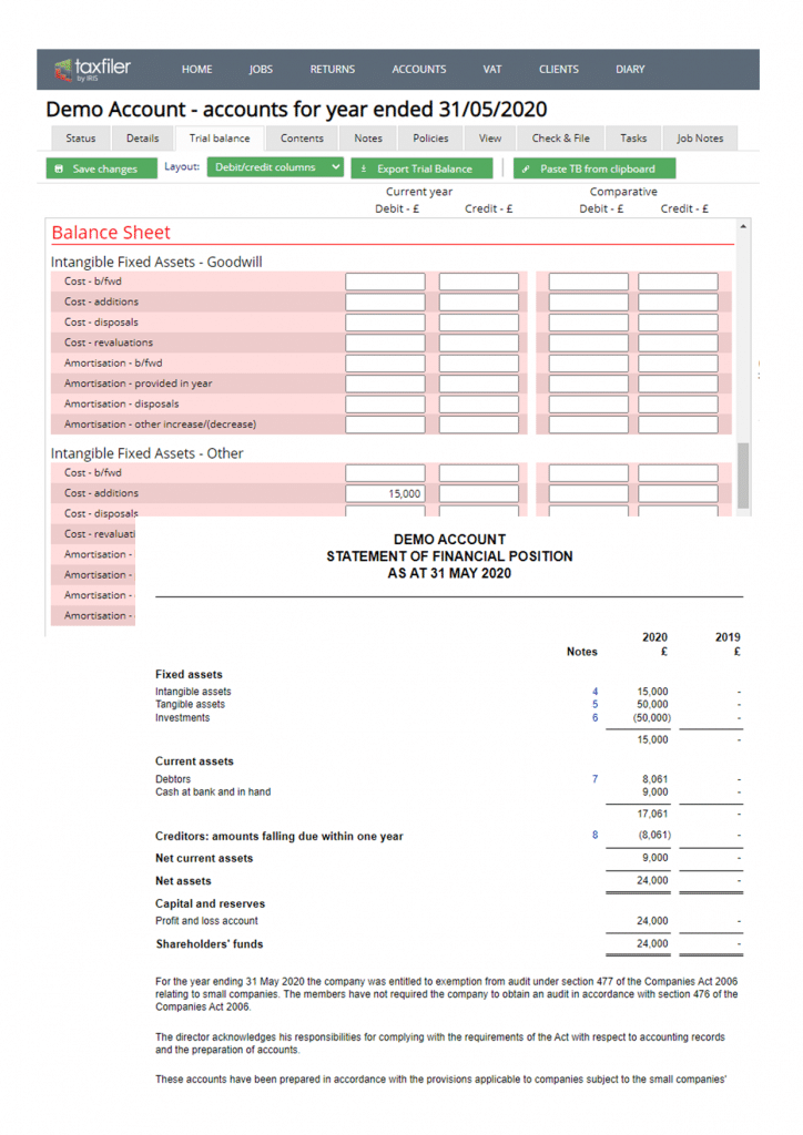 Demo account for tax filing